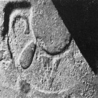 CIL_XV_1512b-LSO1087