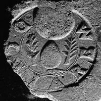 CIL_XV_1538-SAOinv.24333