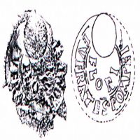 NovumCIL_XV_1370-1.3-Stanco10_9