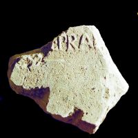 NovumCIL_XV_1384-5.1-Moscetti2020_111