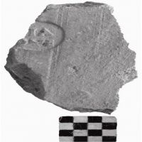 NovumCIL_XV_1386-7var.-Cordianoetal.2014_7