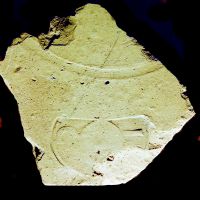 NovumCIL_XV_1512a-b-Moscetti2020_72.II