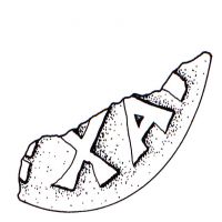 NovumCIL_XV_S.382-1442-Malquori94_22